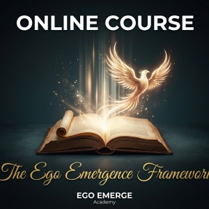 Online Courses and Workshops